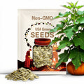 10 Dickinson pumpkin seeds. Ships free