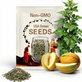 10 Galia melon seeds - sweet/juicy - Grown in USA ! Delicious ! Juicy ! Sweet !